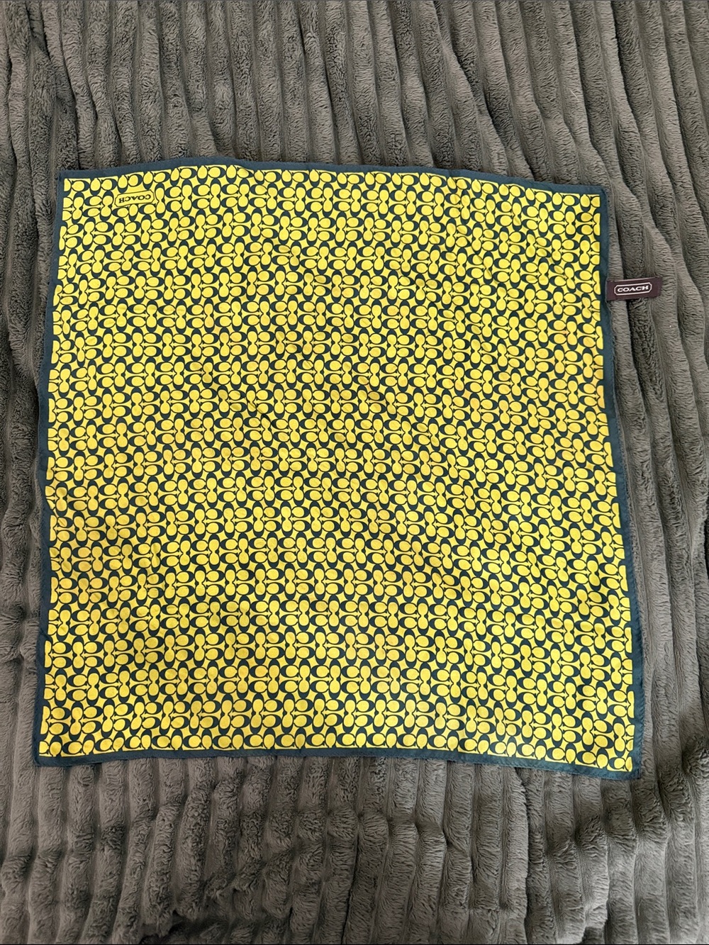 Coach Green Silk Square Scarf